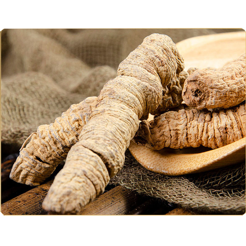 霍山 巴戟天 250g