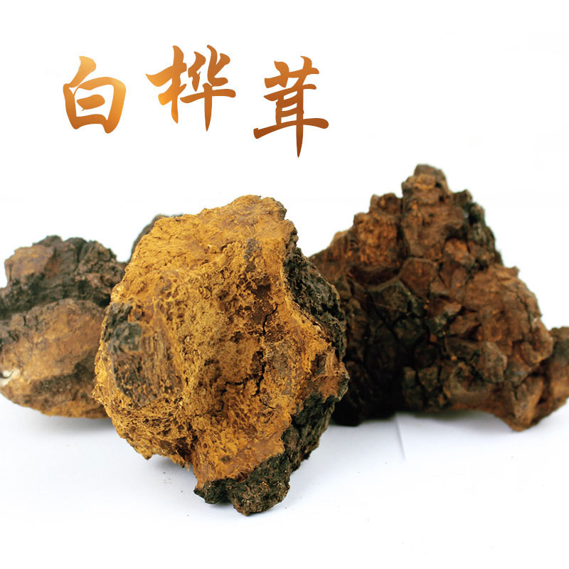 長白山白樺茸(樺樹茸/樺樹淚/樺褐孔菌) 250g*袋